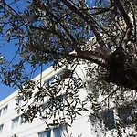 Szálloda Active, Parking Securise Gratuit Nîmes